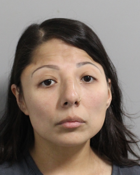 Booking photo of Ashley Vega