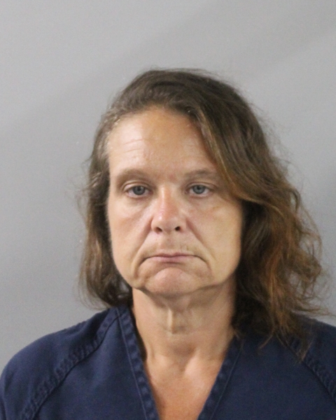 Booking photo of Melissa Dunn