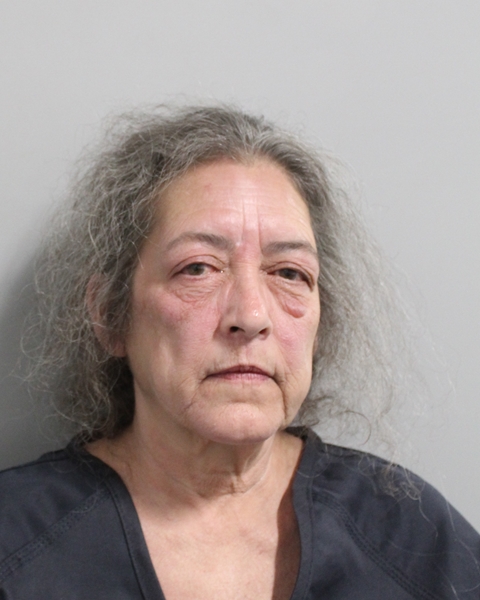 Booking photo of Paula Greenwood