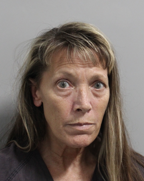Booking photo of Joanne Denney
