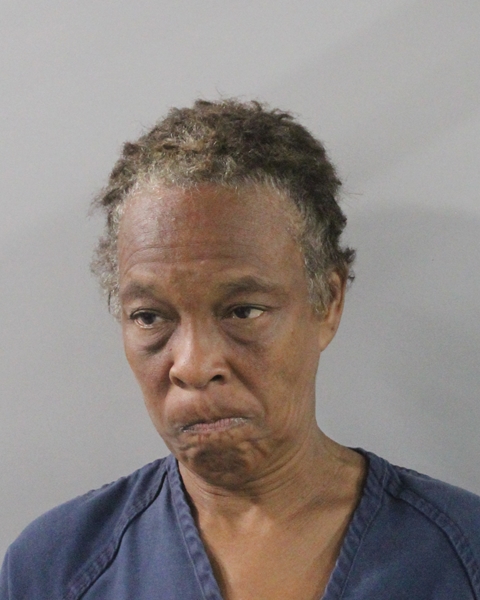Renee Love booking photo