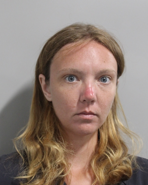 Booking photo of Bridget Hamil