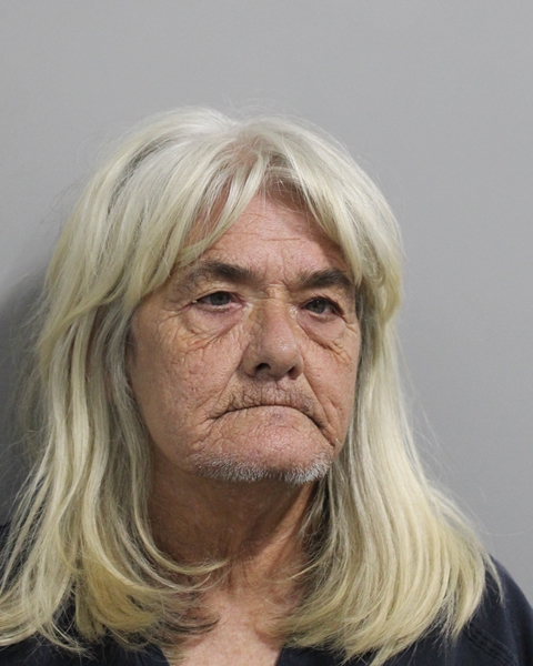 Booking photo of Brenda Ballance