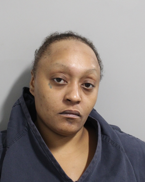 Booking photo of Jocelyn Ayuso