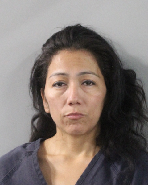 Yazmin Rios Nolasco booking photo