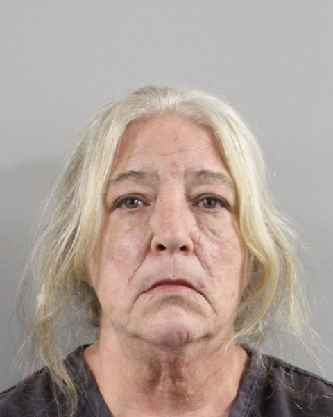 Booking photo of Dawn Perri