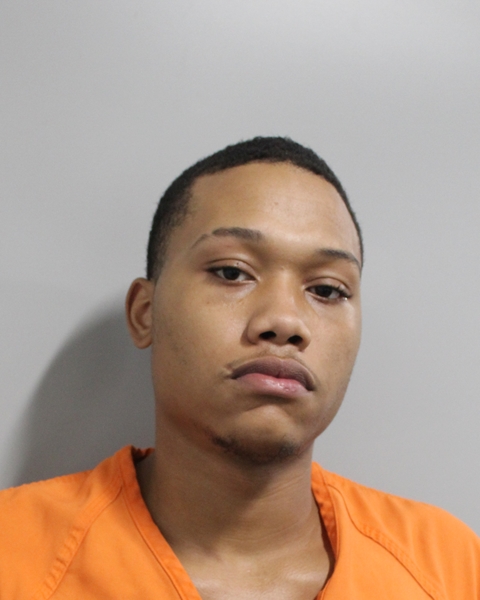 Booking photo of Aden Wilson