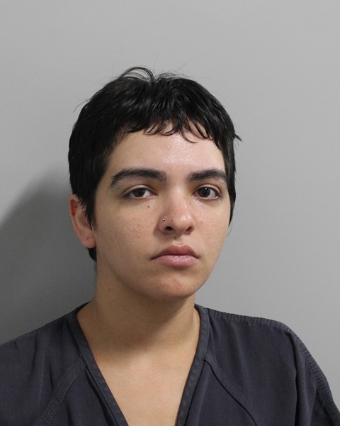 Booking photo of Tatiana Quiros