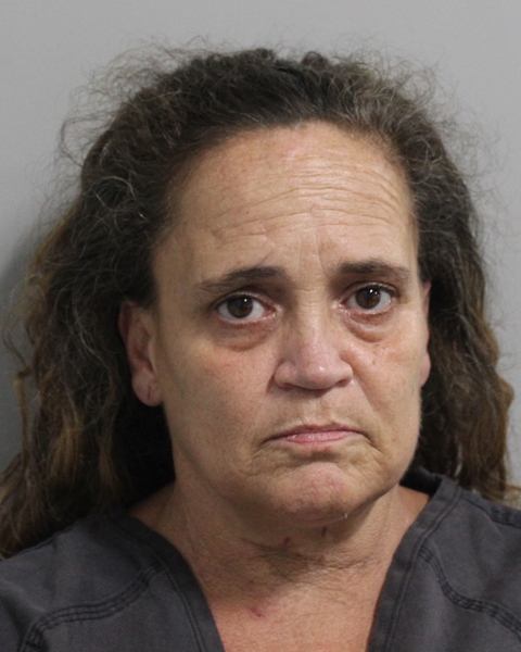 Booking photo of Tina Drury