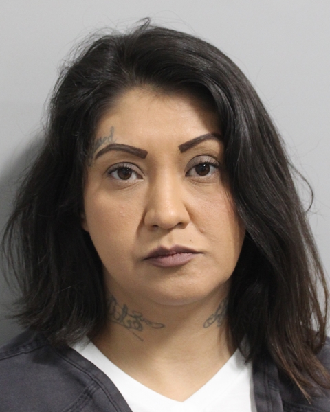 Marcella Armenta booking photo
