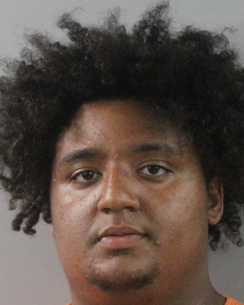 Booking photo of Joan Figueroa