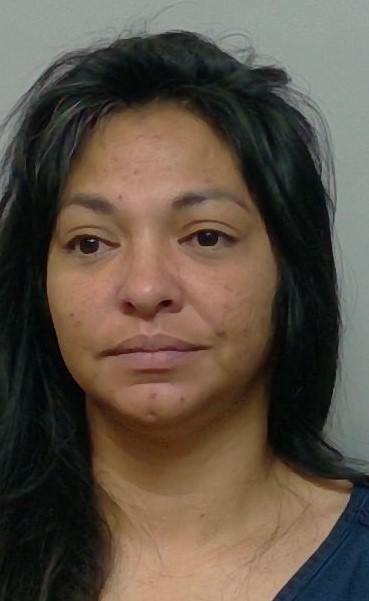 Lorrie Pasqualone booking photo