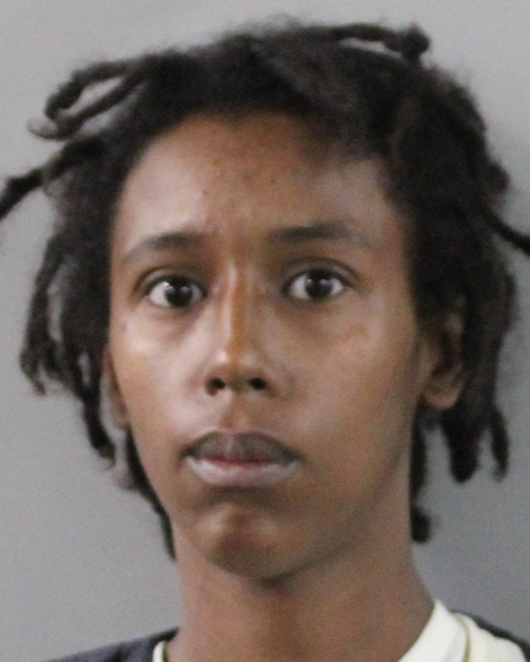 Dominique Hawkins-burns booking photo