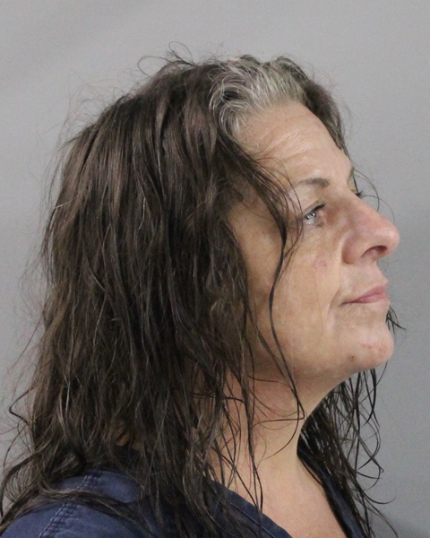 Angela Lawhorn booking photo