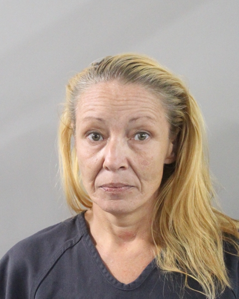 Booking photo of Shelly Tyson