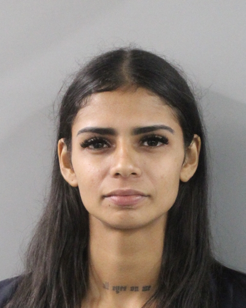 Leyrian Delgado Cerro booking photo