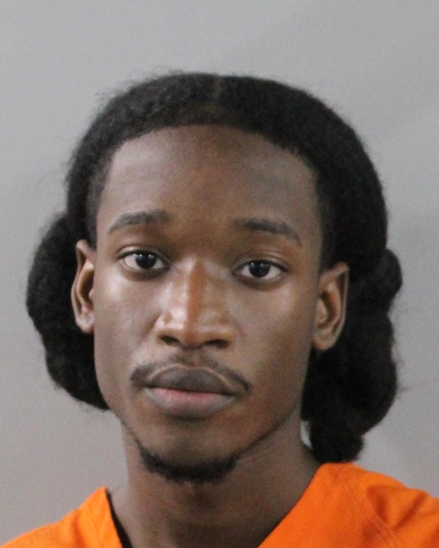 Lensley Pierre Louis booking photo