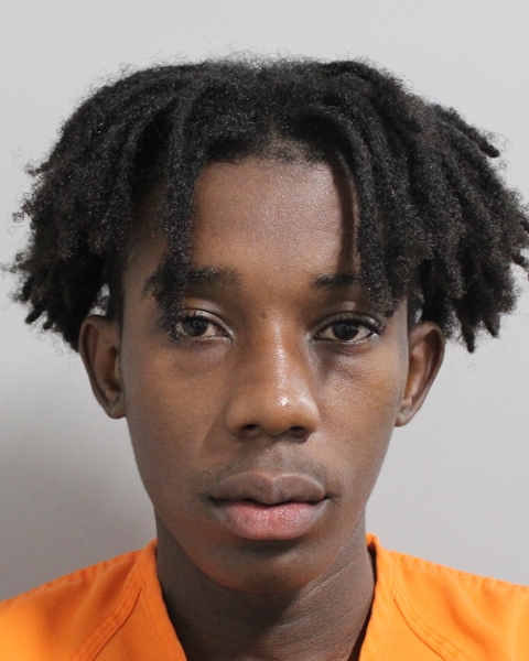 Booking photo of Wolft Sainviluste