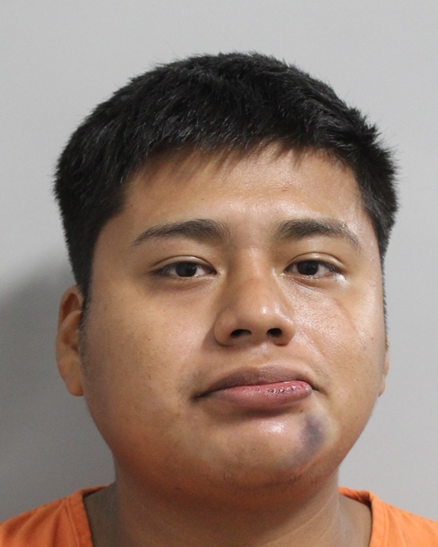 Jesus Flores booking photo