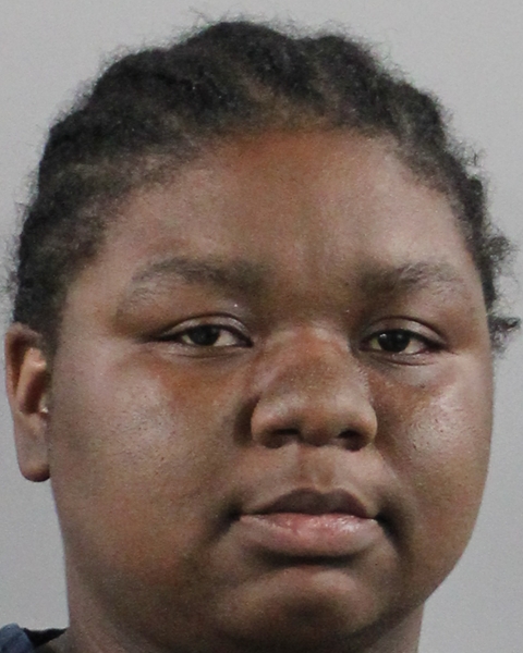Jamera Mcneal booking photo