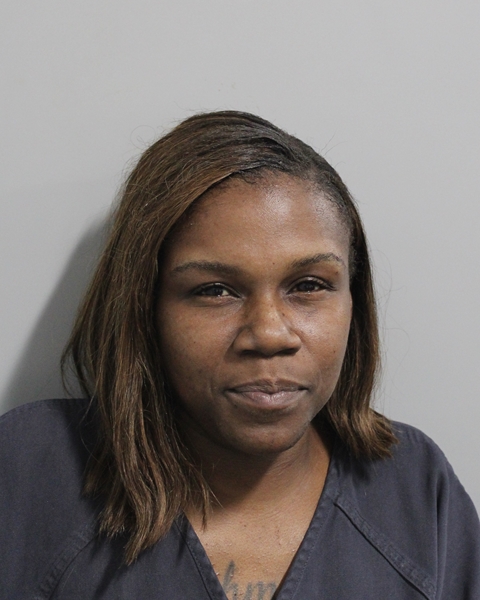 Booking photo of Laneva Jenkins