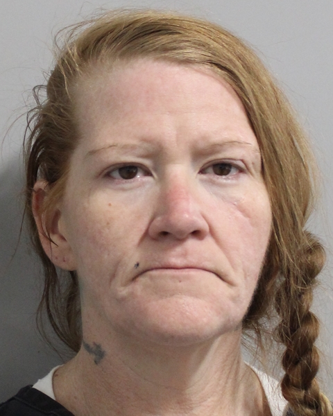 Mary Raulerson booking photo