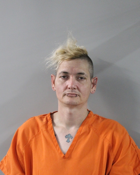 Booking photo of Timothy Sheffield