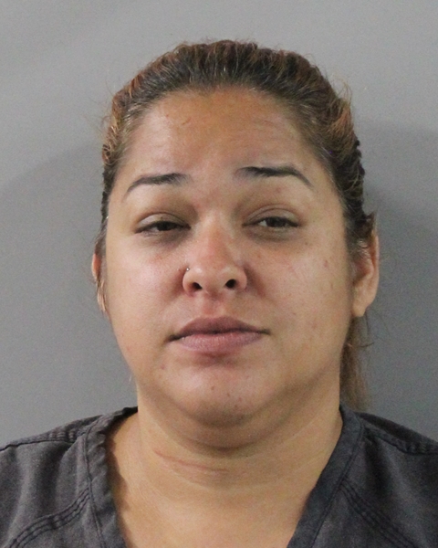 Booking photo of Denisse Aleman