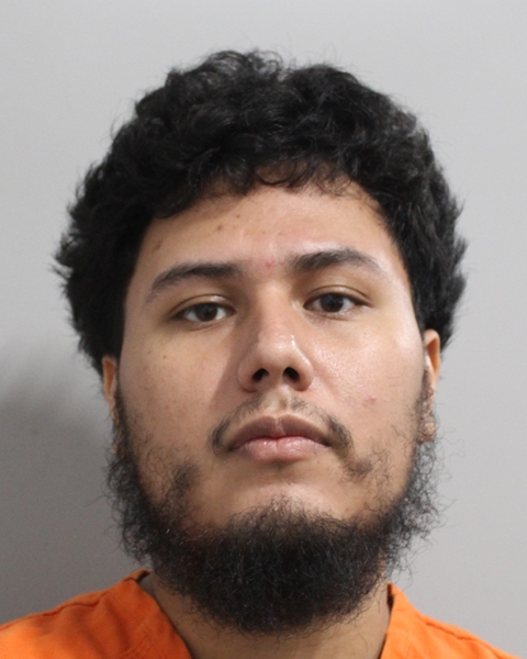 Booking photo of Alex Aleman