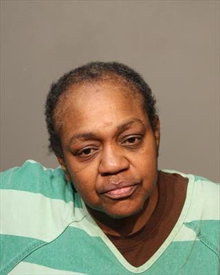 Booking photo of Andrea Lashon Turner Johnson