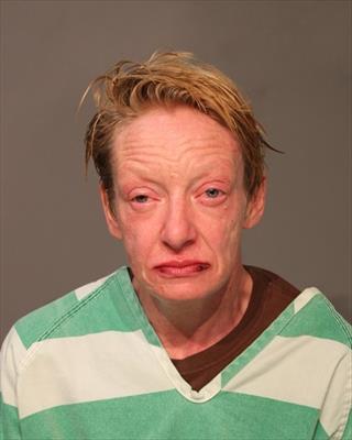 Sara Christine Pontious booking photo
