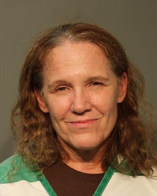 Booking photo of Christine Irene Pingrey
