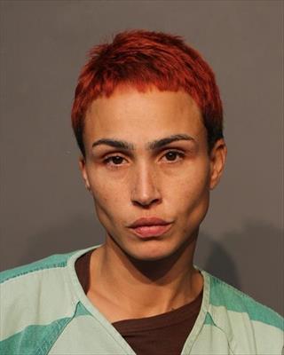 Booking photo of Courtney Irene Johnston