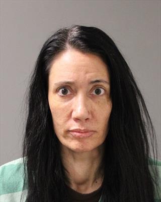 Booking photo of Melinda Joy Triplett