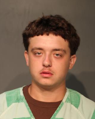 Booking photo of Layne G Howell