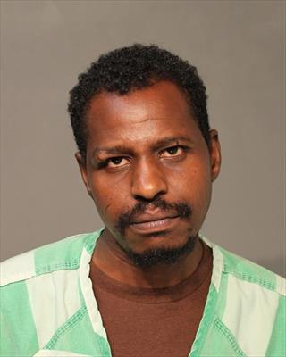 Booking photo of Hussein Osman Ali