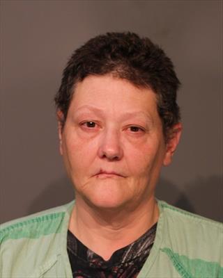 Shelly Lynn Berglund booking photo