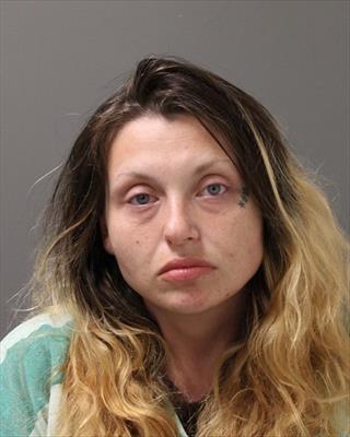 Booking photo of Rosa Marie Snyder