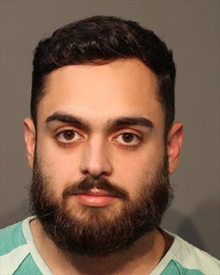 Booking photo of David Rahimic