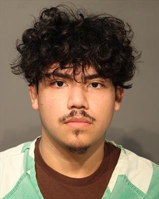 Gael Garcia booking photo