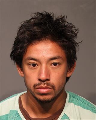 Booking photo of Ryan Garrett Van Baale