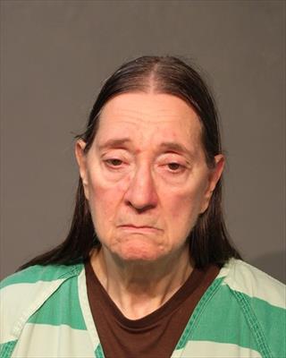 Booking photo of Michele Louise Dunagan