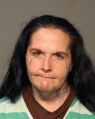 Booking photo of Lacey Valentine Dudziak