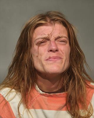 Booking photo of Devani Ariel Hultman