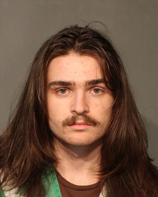 Booking photo of Leo Joseph Levinstein