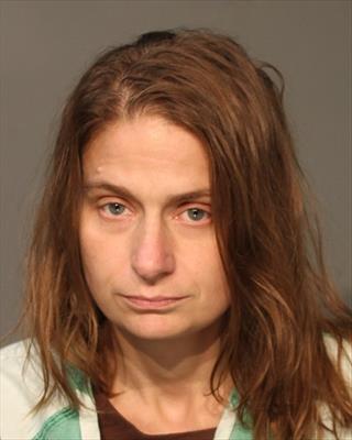 Booking photo of Megan Adele Dains