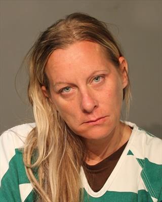 Booking photo of Erica Jean Johnson