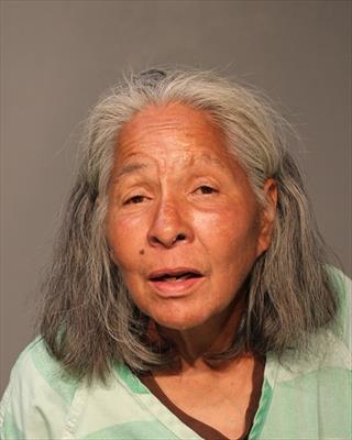 Booking photo of Finnessa Eileen Langmo