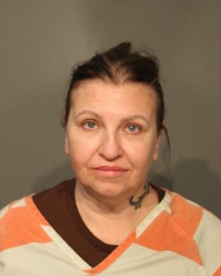 Booking photo of Sheila Lannette Holm