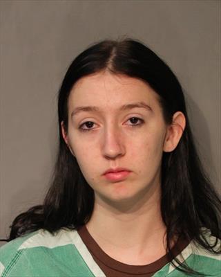 Booking photo of Allison Jane Goodman